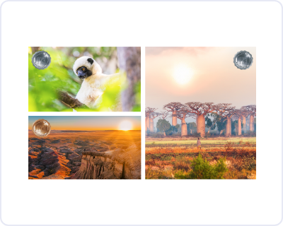 国際フォトコンテスト PX3(Prix de la Photographie Paris)2025 で3作品同時受賞しました!