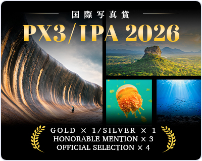 国際写真コンテスト「IPA 2026」「PX3 2026」にて、金賞・銀賞を含む計9作品が受賞・選出されました。